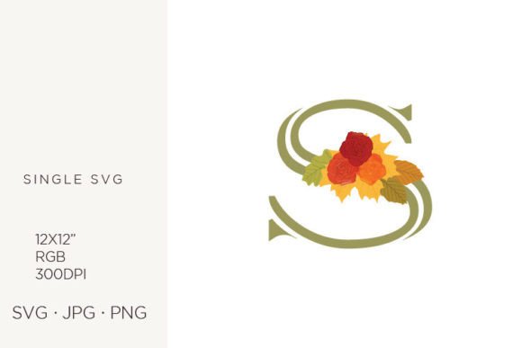 Rose Flowers As a Part of Letter S: A Design Asset Evaluation